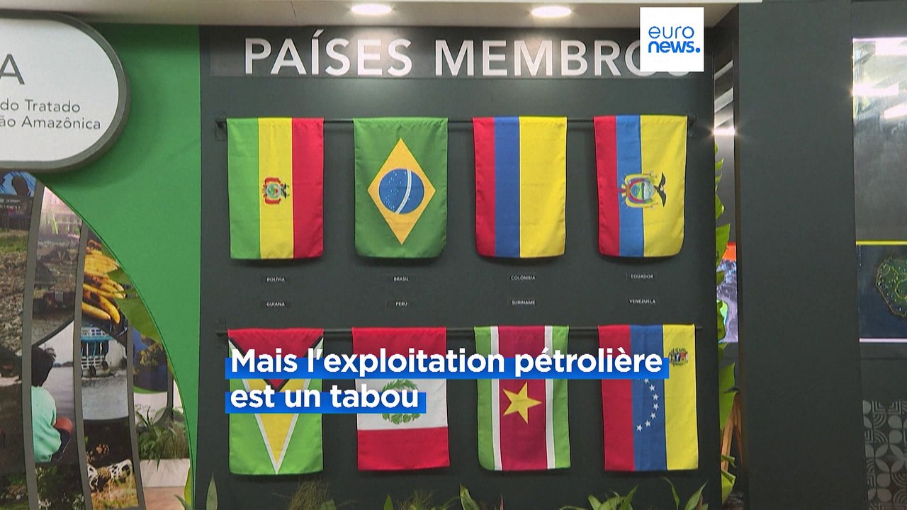 Huit pays sud-américains travaillent sur une stratégie commune pour sauver l'Amazonie