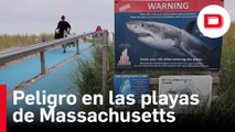 Avistan un tiburón blanco en las playas de Massachusetts