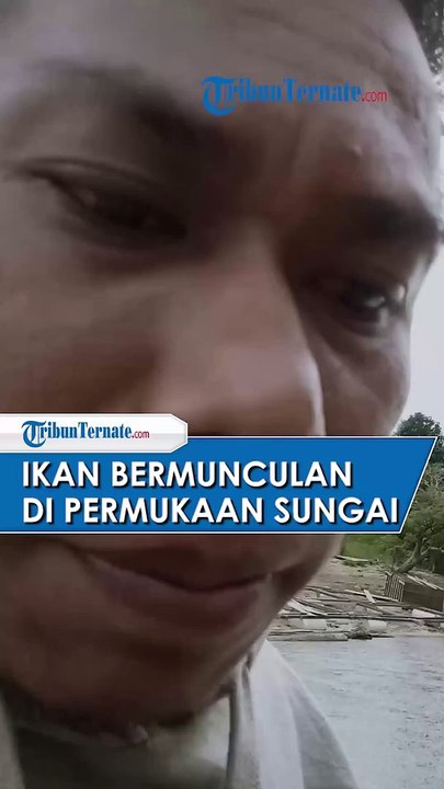 VIRAL! Ikan Bermunculan ke Permukaan di Sungai Beloan, Kubar disebut Karena Datangnya, Musim Kemarau