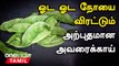 அடிக்கடி அவரைக்காய் சாப்பிட வேண்டுமா? ஏன்? | Avarakkai Health Benefits in Tamil | Broad Beans Recipe