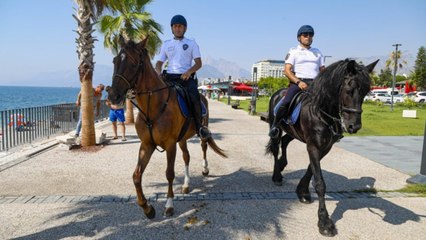 Konyaaltı Sahili Börü ve Winner’a emanet