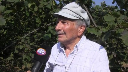 Erdoğan fındıkta maliyetin altında alım fiyatı açıkladı, üretici tepkili