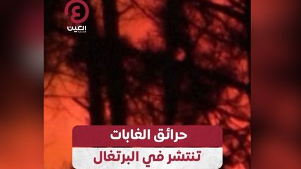 حرائق الغابات تنتشر في البرتغال