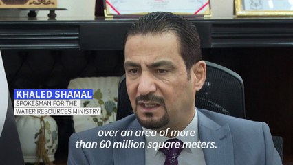 Water-stressed Iraq dries up fish farms