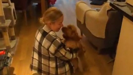 Woman stuck in Rhodes wildfires finally returns home and shares heartwarming reunion with her puppy