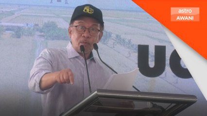 Subsidi Harga Padi: Naik kepada RM500 per tan metrik mulai esok