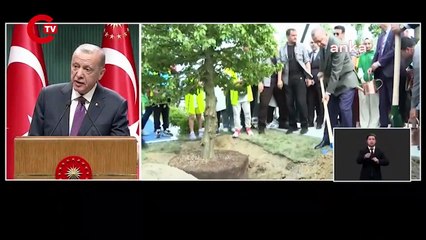 Erdoğan, Akbelen'i hedef aldı! Çevreci görünümlü marjinaller...