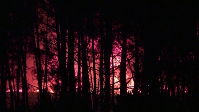 Firefighters struggle to contain wildfires in southern Portugal as over 1000 residents evacuated