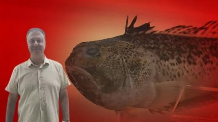 Plajlarda 'trakonya' tehlikesi...  Prof. Dr. Tevfik Tansel Tanrıkul'dan uyarı