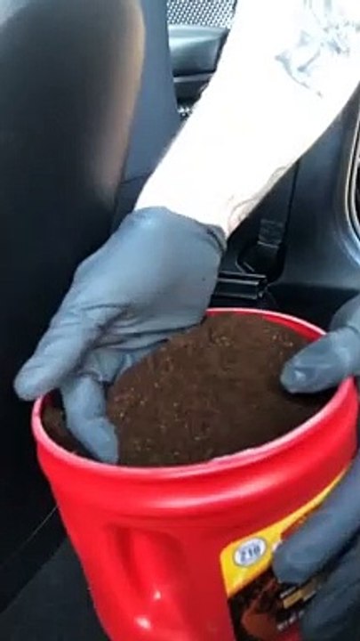 El trucazo rápido, barato y efectivo para eliminar los malos olores de tu coche