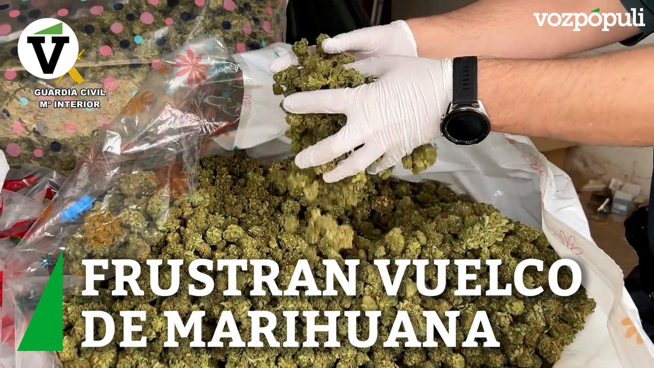 Guardia Civil y Policía Local frustran un vuelco de marihuana