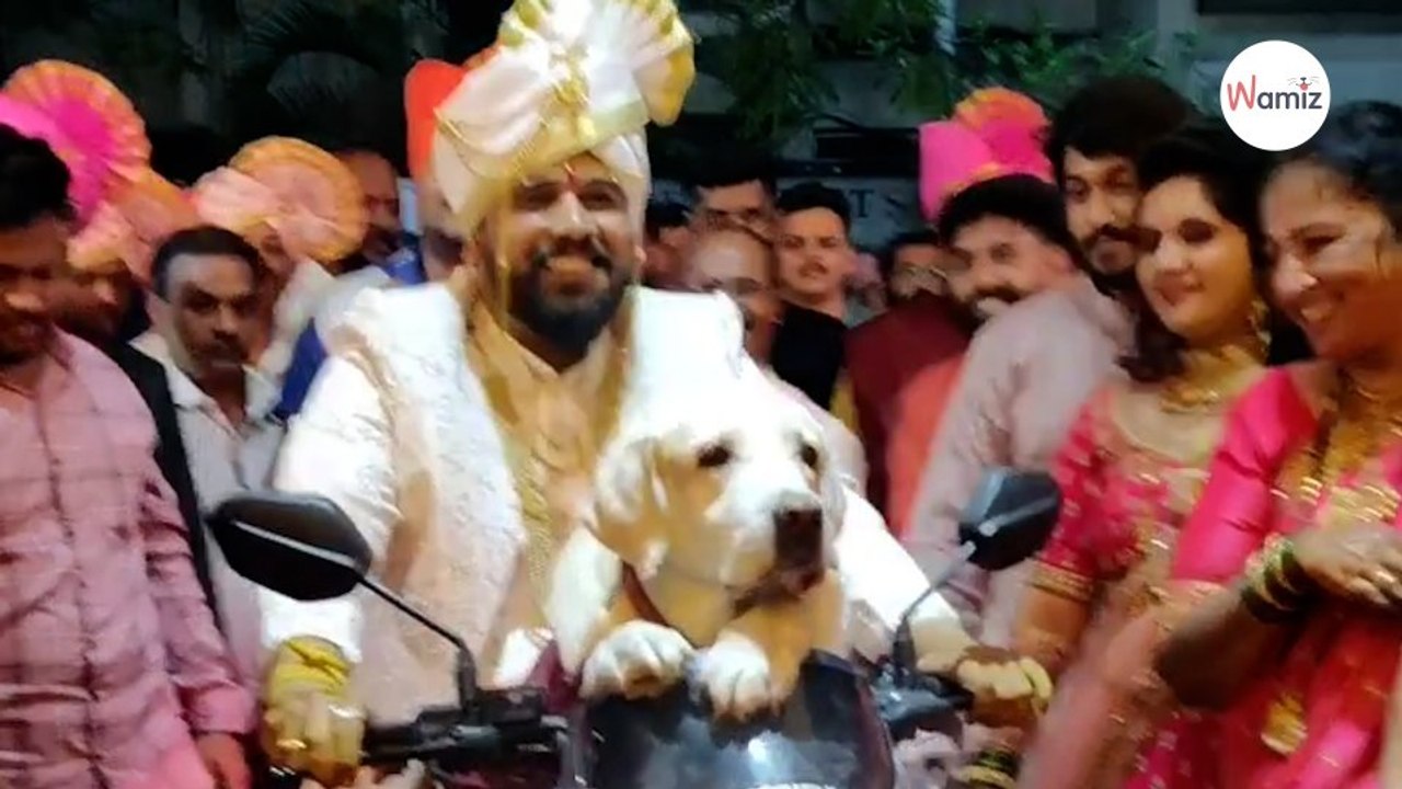 Gäste auf Hochzeit können nicht fassen, wen der Bräutigam eingeladen hat (Video)