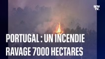 Incendie au Portugal: un millier de pompiers mobilisés et 7000 hectares ravagés