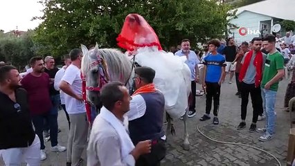 Sahibiyle karşılıklı harmandalı oynayan at şaşkınlığa neden oldu