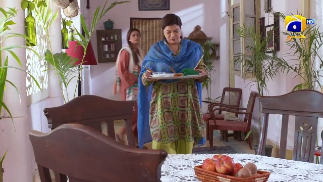 Tum Be Hayai Ki Had Paar Kar Chuki Ho Daraar FLO Digital