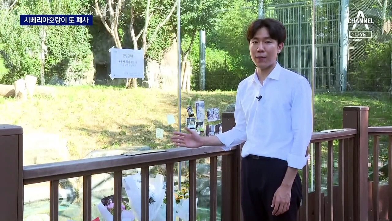 폭염 힘들었나…‘멸종 위기 1급’ 시베리아호랑이 폐사