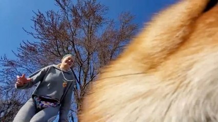 Fox Steals iPhone During Yoga Session | Wild-ish TV