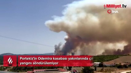 Portekiz cehenneme döndü! Orman yangınları durdurulamıyor