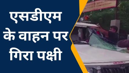 मऊ: एसडीएम की स्कॉर्पियो गाड़ी से टकराया पक्षी, हादसे में बाल-बाल बचे एसडीएम