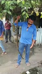 रेलवे प्लेटफार्म के सीएनएंडडब्ल्यू स्टाॅफ रूम की छत पर मिला सांप