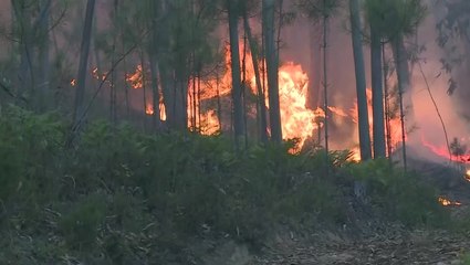 Video herunterladen: Firefighters battle wildfires in Portugal as thousands forced to evacuate