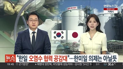 "한일, 오염수 협력 상당부분 공감"…한미일 정상회의 의제는 아닐듯