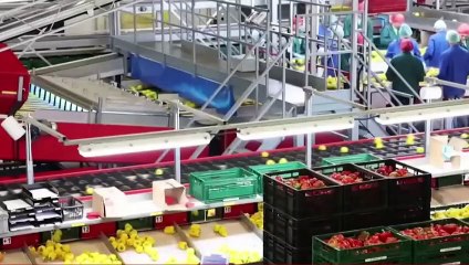 2 millions de travailleurs seront emmenés en Allemagne sans aucune condition linguistique ! 451 euros par mois pour les chômeurs