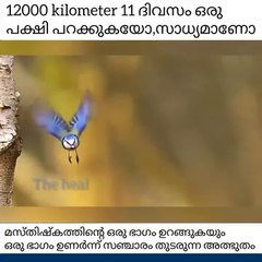 PARINAMAM പരിണാമം EVOLUTION YUKTHIVADI FREETHINKERS YUKTHIVADAM ATHEIST KERALA SCIENTIFIC MALAYALAM