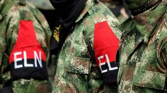 ELN habría violado el cese al fuego en seis ocasiones, según comandante de las Fuerzas Militares