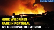 Portugal Wildfires: Country battles destructive wildfires amid searing heat; 19 villages evacuated