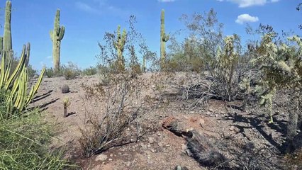 Julho foi mês mais quente já registrado na terra