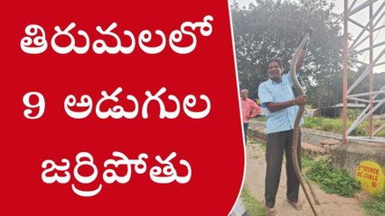 తిరుపతి జిల్లా: వామ్మో.. తిరుమలలో 9 అడుగుల భారీ పాము కలకలం