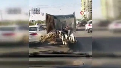 Kamyonetin kasasında uyuyan adam trafikte böyle seyretti