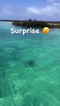 Nathalie Marquay dévoile des images de ses vacances paradisiaques dans le lieu préféré de son défunt mari Jean-Pierre Pernaut. Instagram