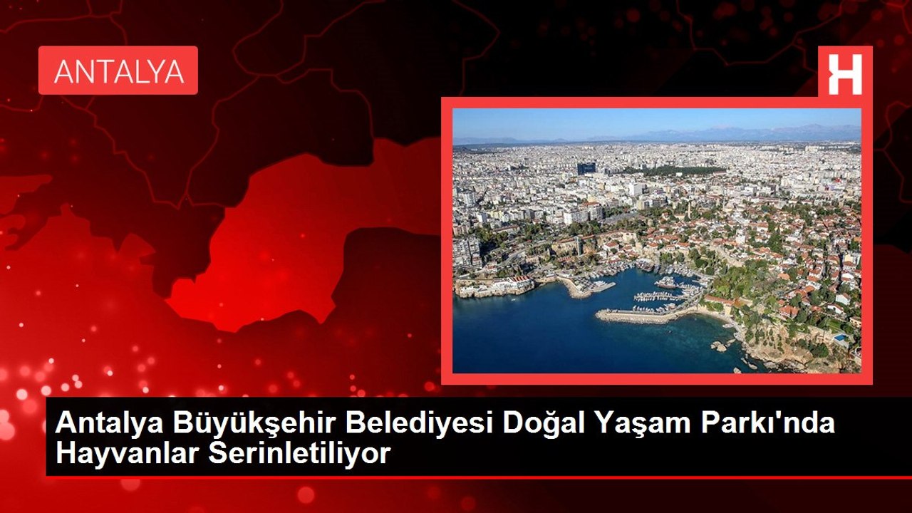 Antalya Büyükşehir Belediyesi Doğal Yaşam Parkı'nda Hayvanlar Serinletiliyor