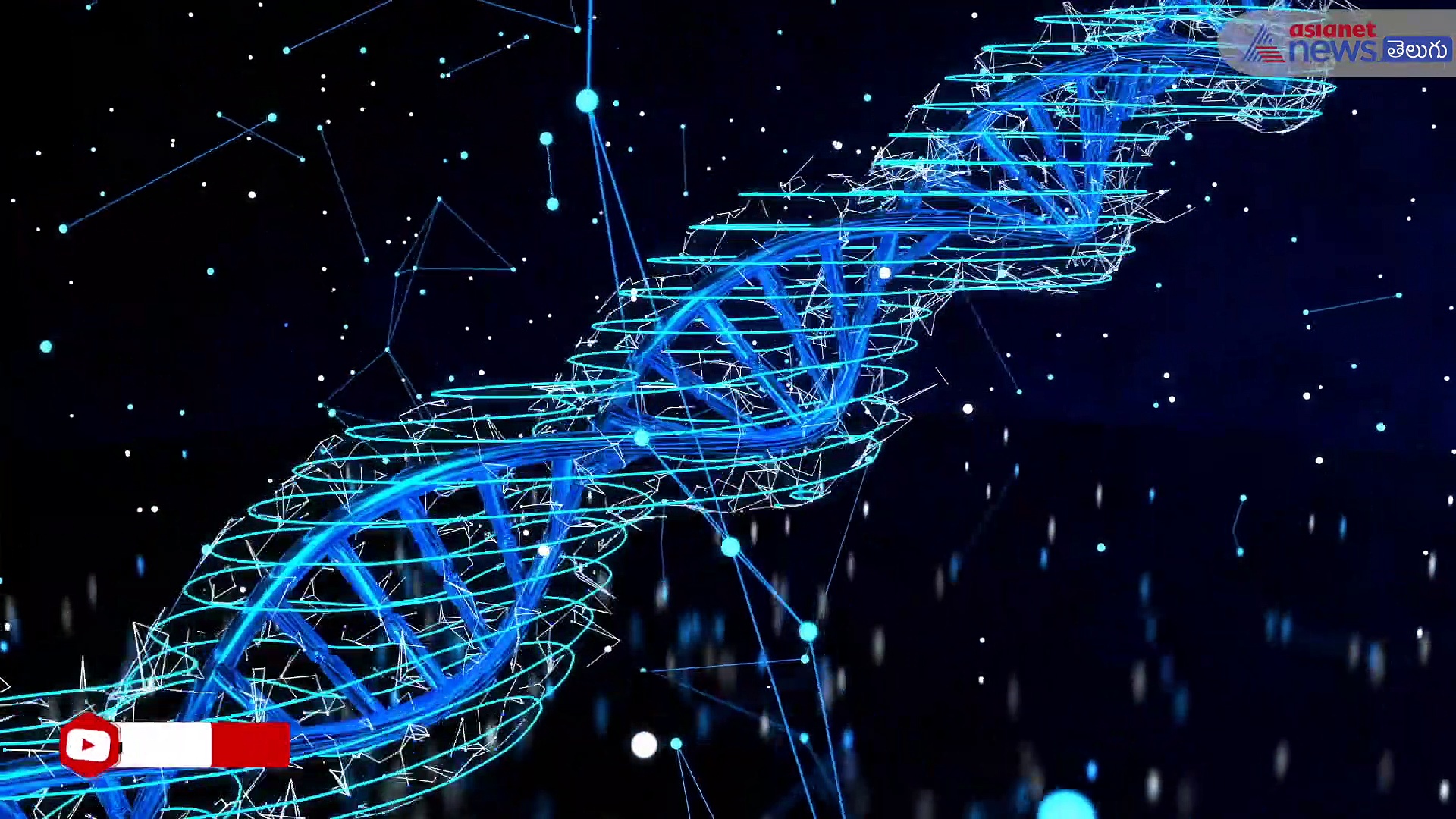 ఆరోగ్యానికి మంచిదని రెయినీ సీజన్లో కూడా చేపలు తింటున్నారా..అయితే ముందు మీరు ఈ విషయాలు తెలుసుకోవాలి....