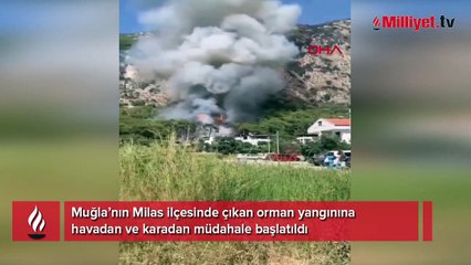 Milas'ta orman yangını! Ekipler müdahale ediyor