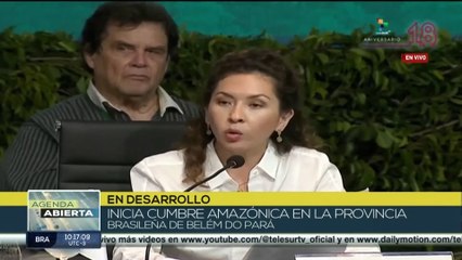 “Debemos superar la visión de que los bosques son un repositorio pasivo de biodiversidad”