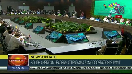 Pablo Solon: The Amazon must be seen as a subject of rights, not as an object