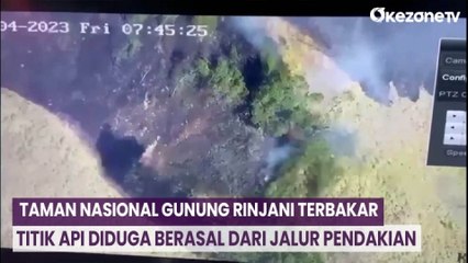 Taman Nasional Gunung Rinjani Terbakar, Titik Api Diduga Berasal dari Jalur Pendakian