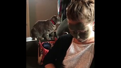 Cat comically fails to recognize human in mud mask (2)