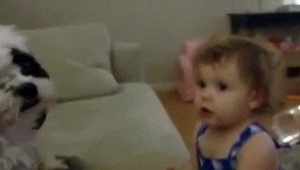 Baby gives kisses to Shih Tzu dog