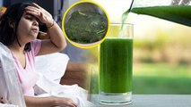 डेंगू में पपीते के पत्ते का पानी पीने से क्या होता है | Benefits of Drinking Papaya Leaf Juice