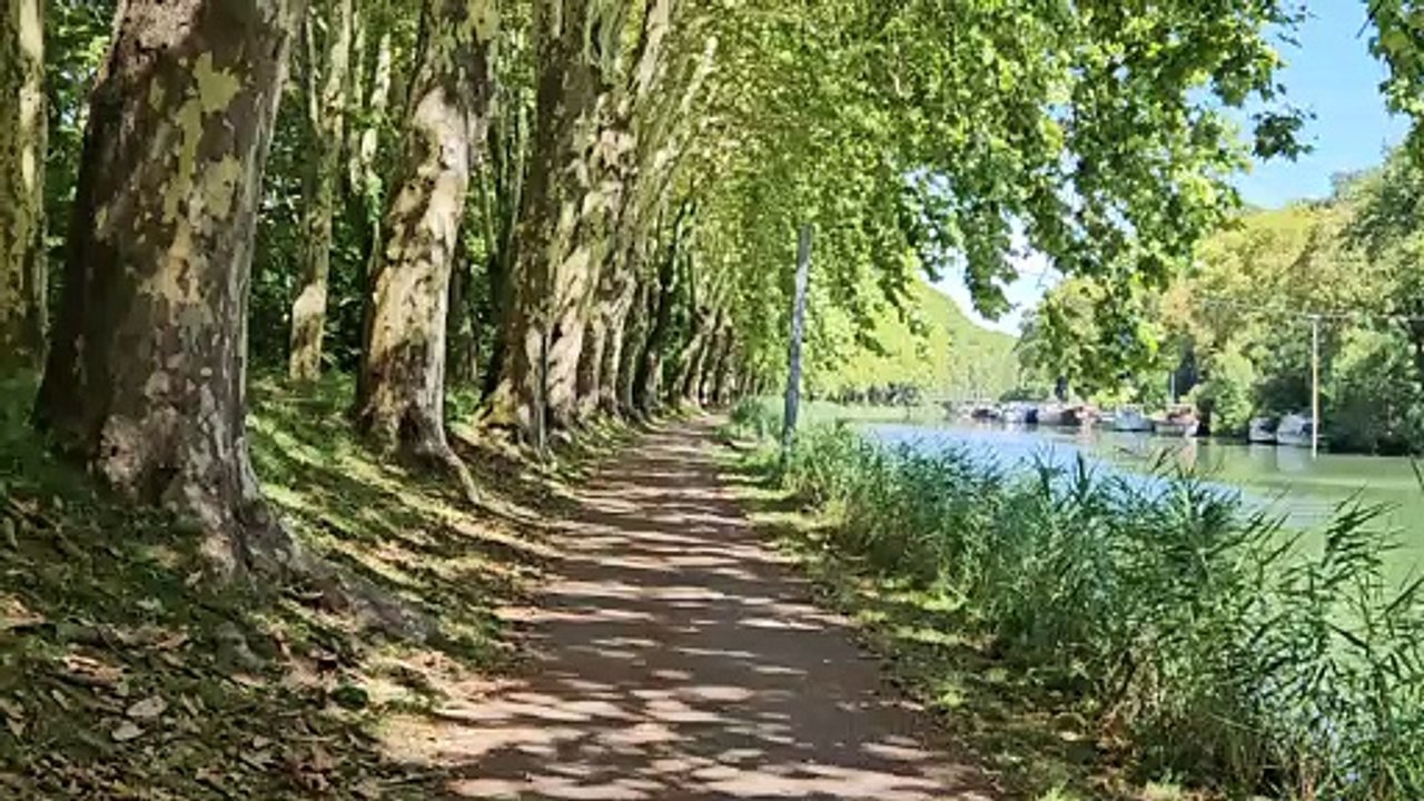 Samsung Galaxy Z Fold 5 : vidéo QHD 60 FPS avec Super stabilité activée