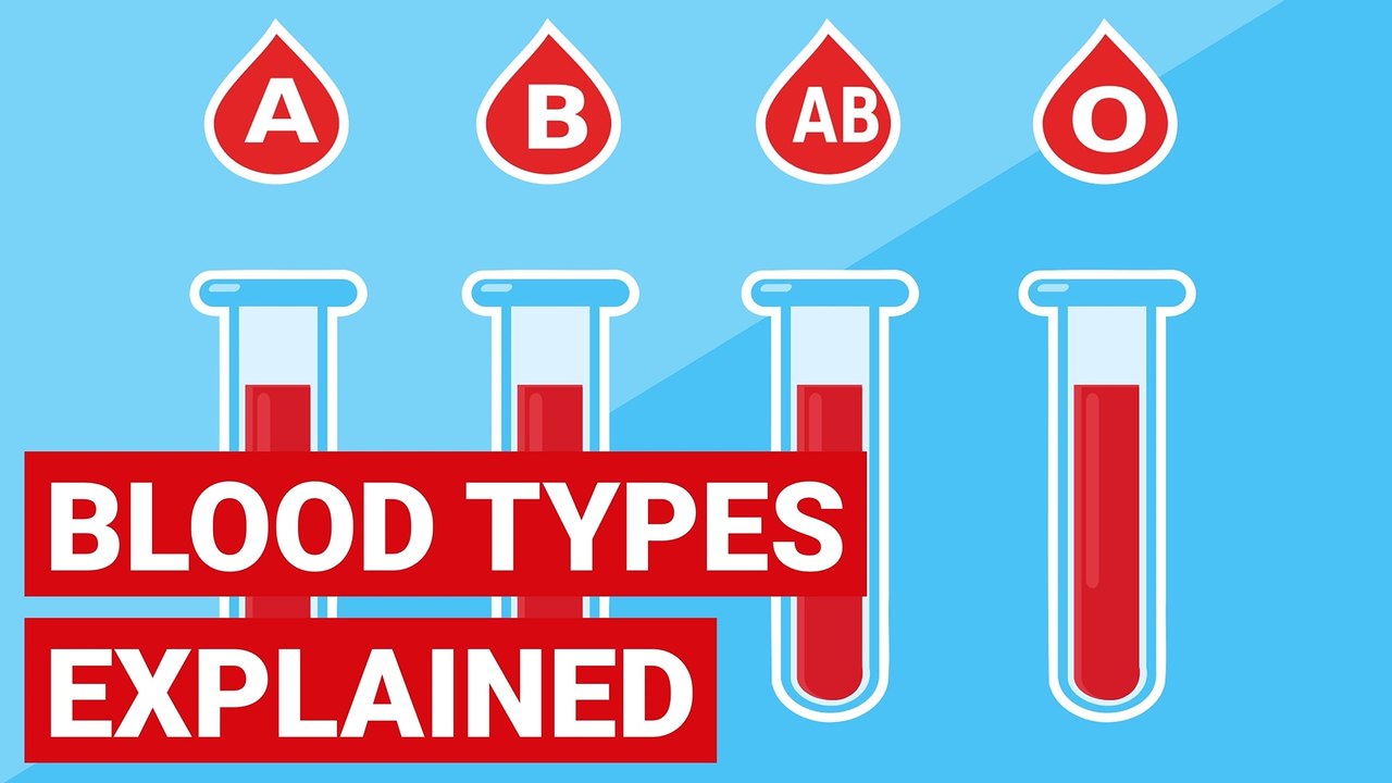 Blood Types Explained - video Dailymotion
