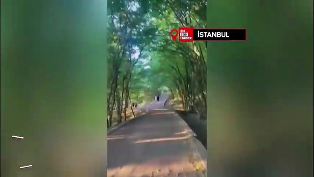 İstanbul Eyüpsultan’da görüntülenmişti, silahı oyuncak çıktı