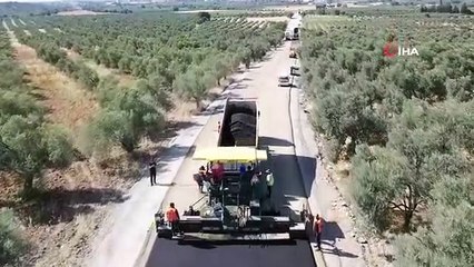 Les oliveraies et les ouvriers se sont débarrassés de la poussière