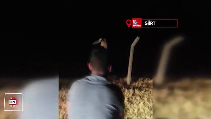 Siirt'te kamyon şoförü tellere takılan baykuşu kurtardı