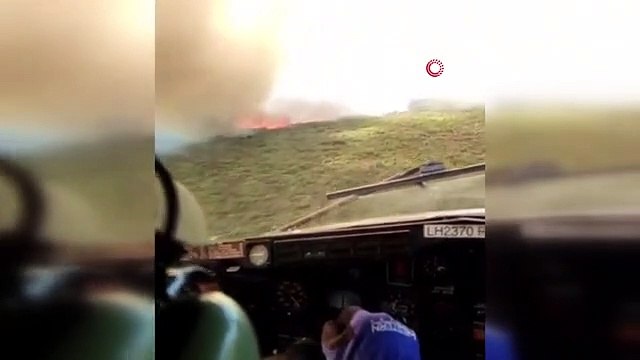 Didim'de makilik ve zirai alan yangını