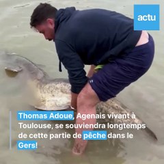 Un silure de plus de 2,40 m pêché dans le Gers